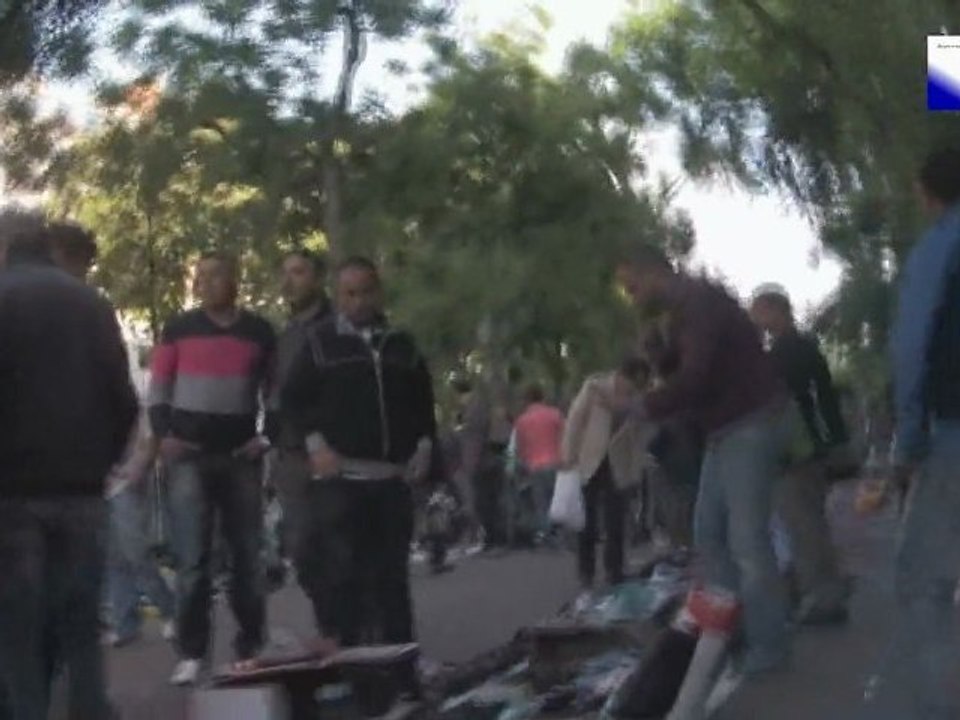 La diversité est une richesse la diversité est une richesse la diversité est une richesse la dive