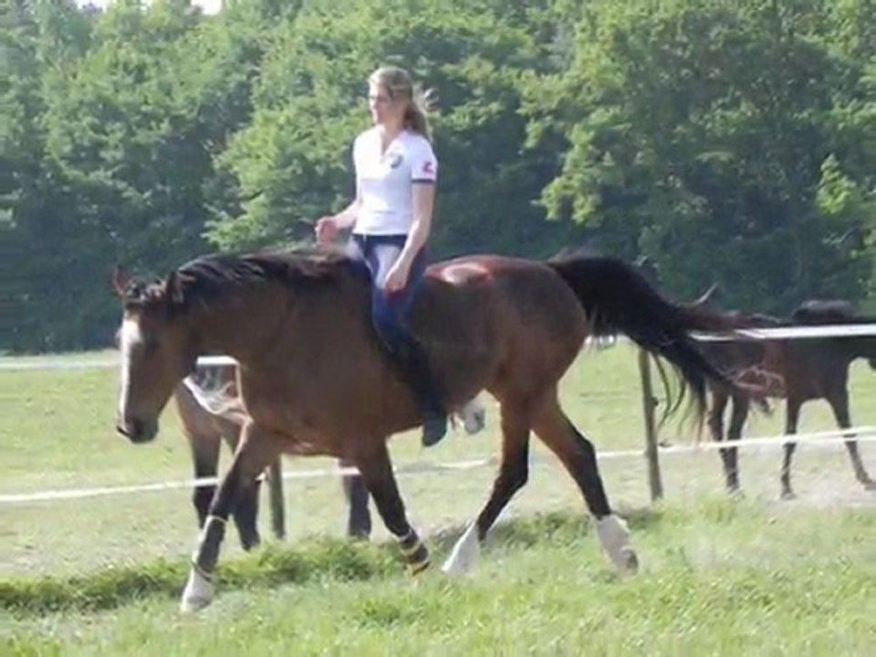 Avril et deb Mai 2011