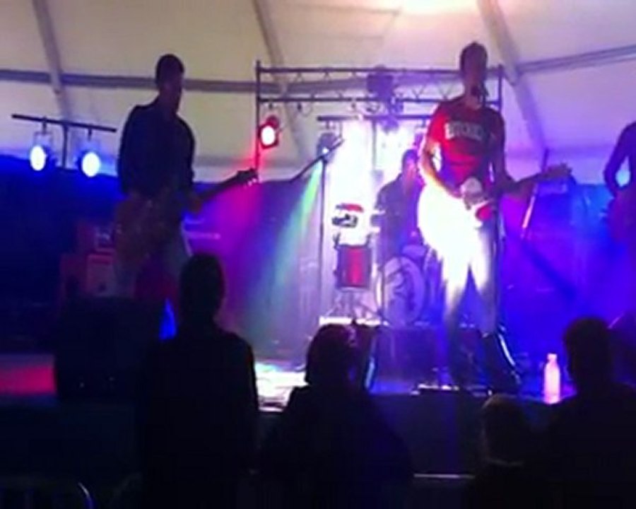 Les chihuahuas de l'espace