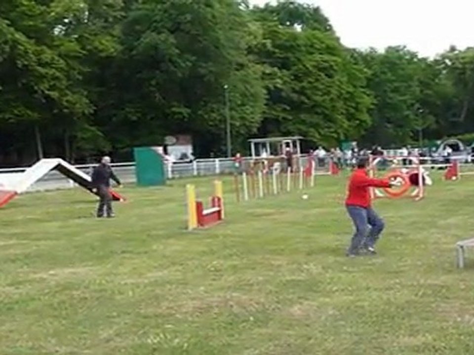 Concours de Chantilly du 14/05/11 - OPEN SCC