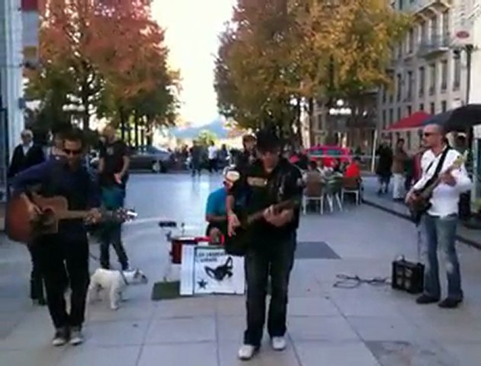 Les Chihuahuas de l'espace au palais des Pyrénées!!!