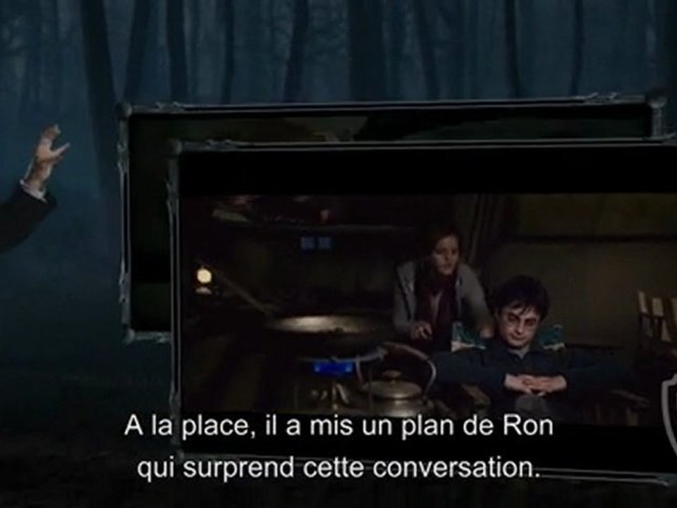 Harry Potter et les Reliques de la Mort  Harry et Hermione