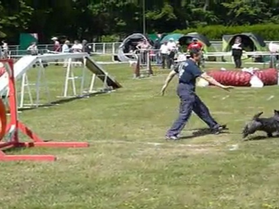 Concours de Chantilly du 14/05/11 - GPF SCC
