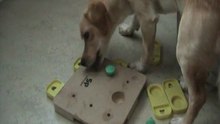 Jogos de QI