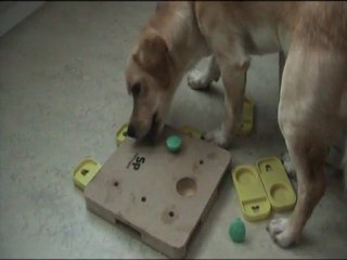 Jogos de QI - Maio 2011