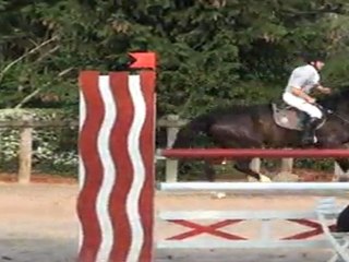 Toucan et Nico à Roanne