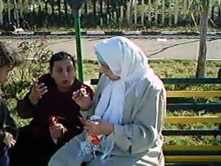 bassin aquatique de tlemcen