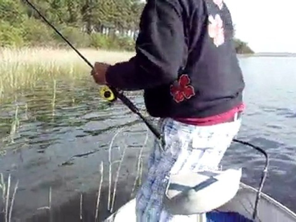 brochet avec spinner landfish pris par le club spinner landais