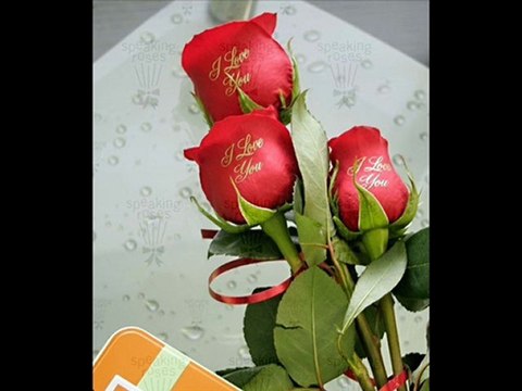 KAHIR MEKTUBU ; full -zeki müren