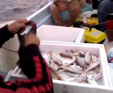 tekirova mercan avı 3