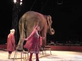 Cirque Medrano Elephant