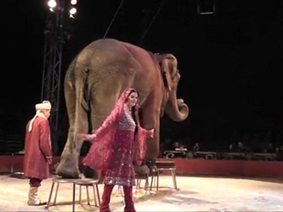 Cirque Medrano Elephant