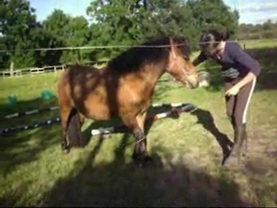 Résumé du samedi 14 mai 2011