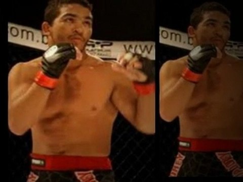 Where you can look for mma gears and shirts