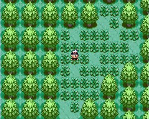 Pokemon Saphir WT3 : clémenti = ville + bois