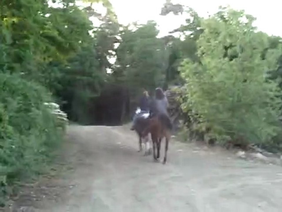 13.5.2011 (30)