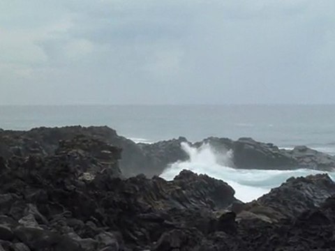 La Roche aux Oiseaux près d'Étang-Salé