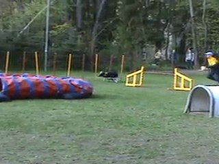 "Zuikelio taurė" - ErnaxDžija4