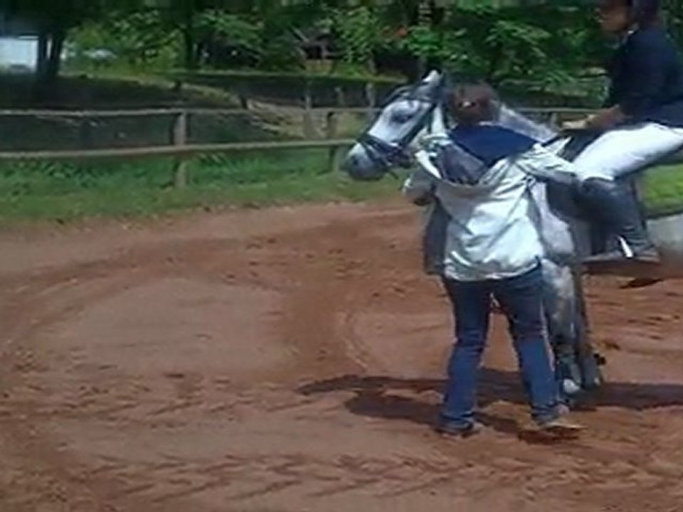 soann 15/05/2011 paddock 4