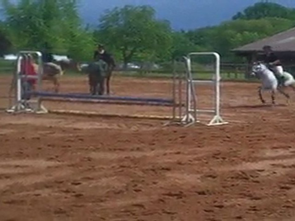 soann 15/05/2011 paddock 7