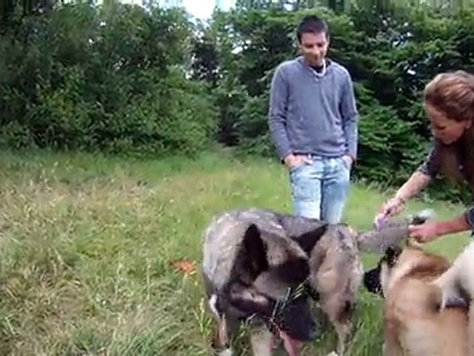 2011-05-15 - Daya et Forest - 1