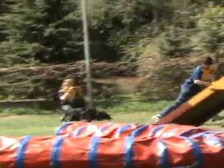 "Zuikelio taurė" - VilmaxDžaja2