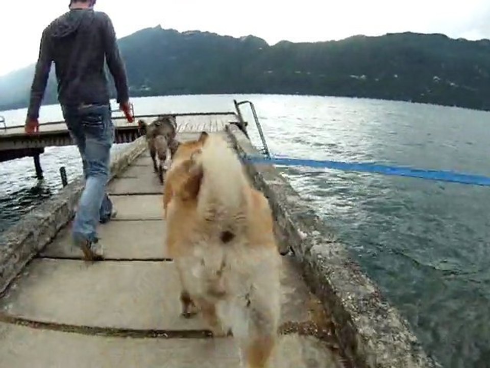 2011-05-15 - Daya et Forest - 4