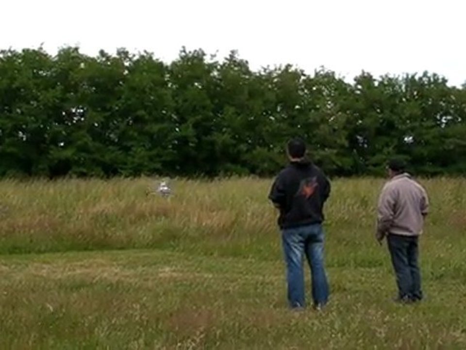 Trex 450 pro Gael Lamirand