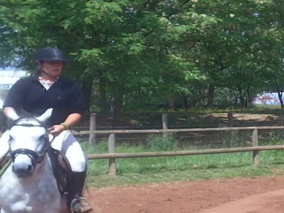 soann 15/05/2011 paddock 5