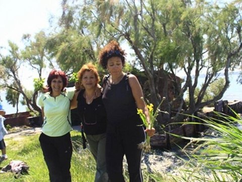 La petite camargue de st chamas