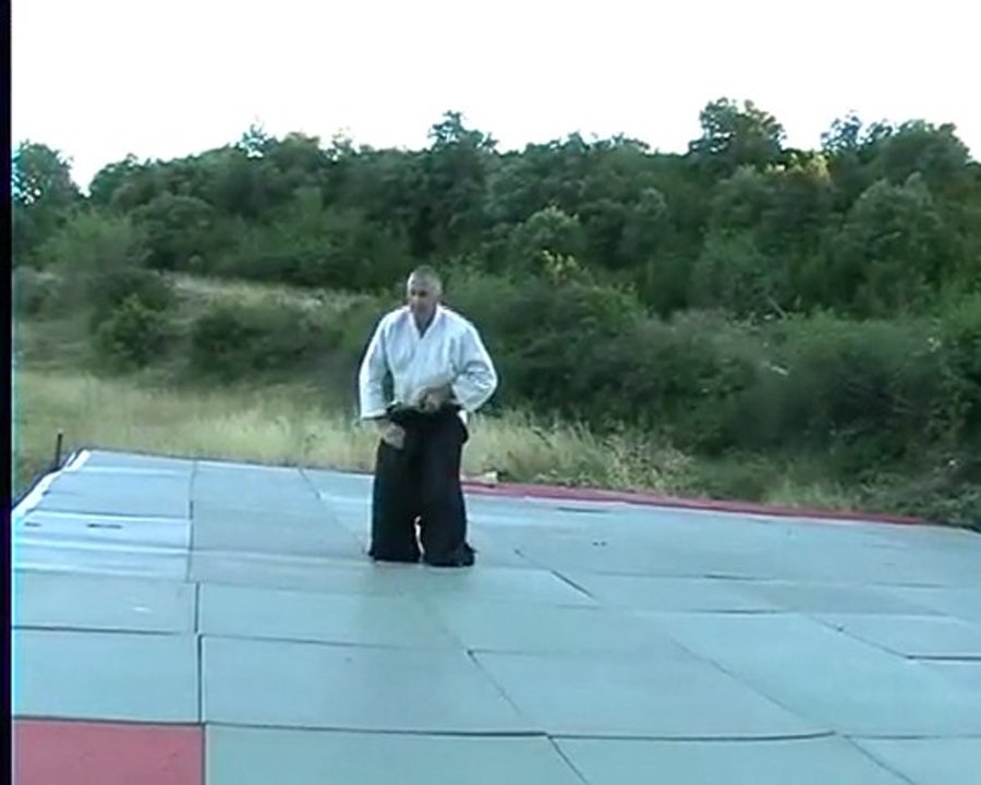 Yo sei kan katori shinto ryu iaijutsu