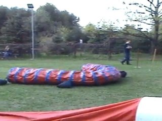 "Zuikelio taurė" - VilmaxDžaja3