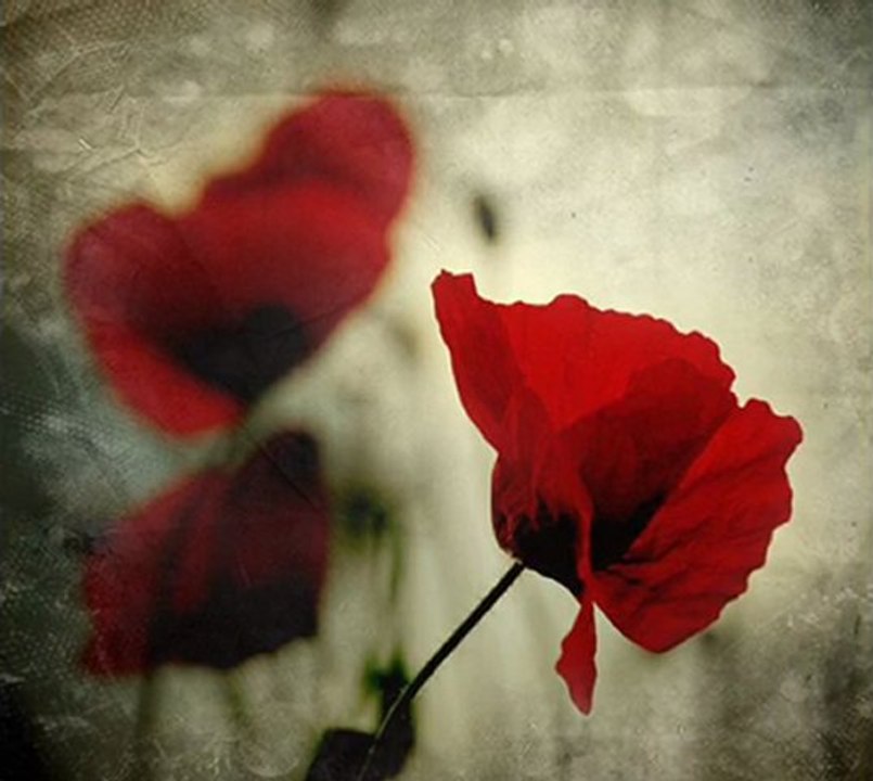 "Hatırla"/ Şiir: Mevlânâ Celâleddin Rumî / Yorum: Serdar Tuncer