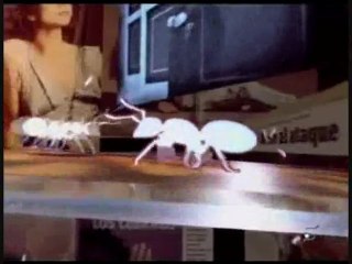 hormigas blancas (simulador político)