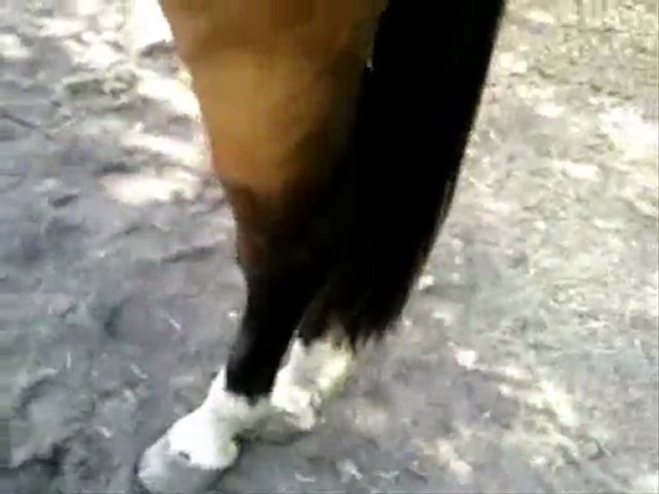 desensibilisation corde