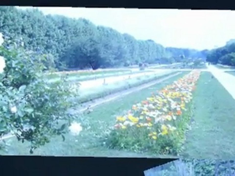 PARIS 2011