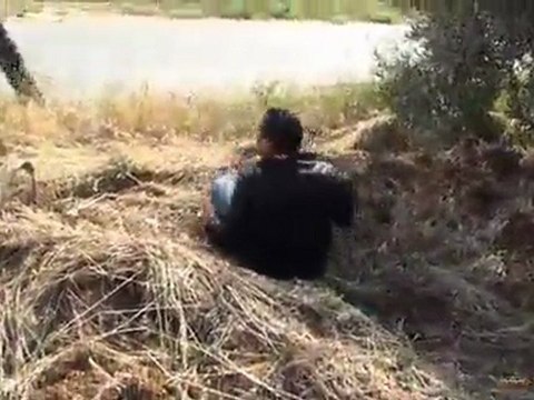 La Violence des Sionistes envers les étrangers et les civils palestiniens 13 - 05 - 2011