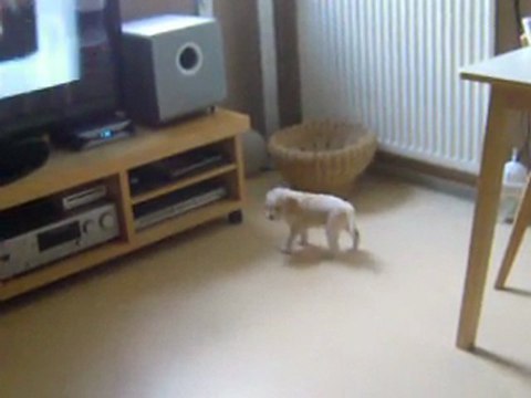 photos dakotabebe 015