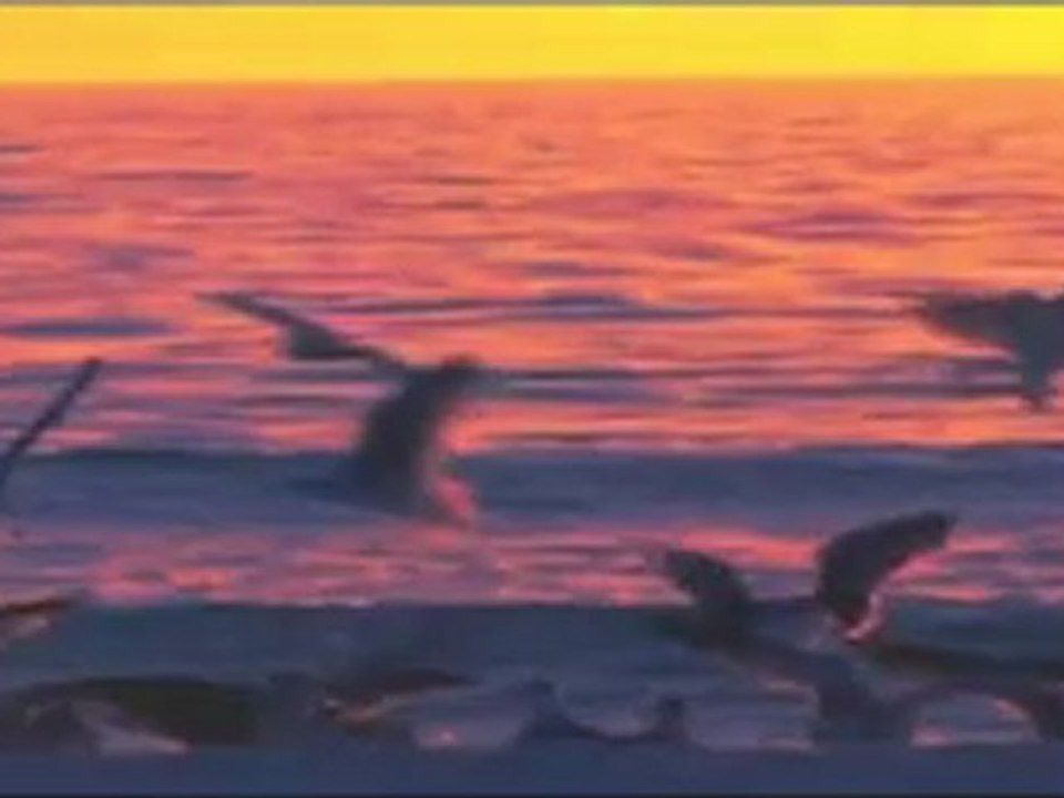 vivo per lei -vivo por ella  MILEN KRASTEV ft PLAMEN- COMING SOON HD