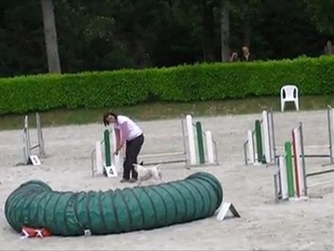 2ème manche trophée staffies