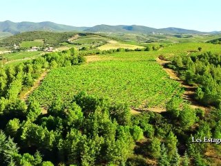 Le domaine du Chateau des Estanilles, vignoble du Languedoc, vu du ciel