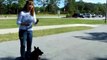 YouTube - Dog Training Teaching ''kennel'' W- Dogtra E-collar-Pager Collar