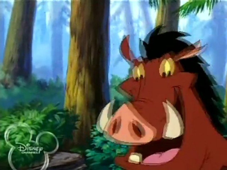 Timon and Pumbaa - Ready, Aim, Fire