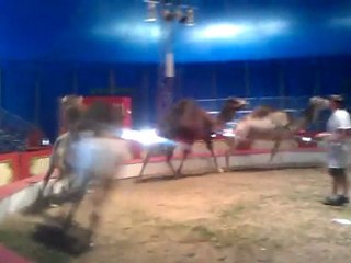 BLONDINE change de cercle