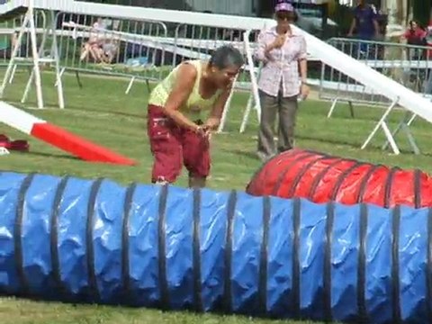 Tex Agility 1 Trophée par équipe 2011
