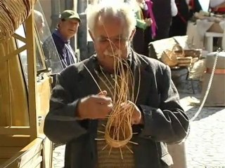 Santa Domenica Talao - Tutti al Parco