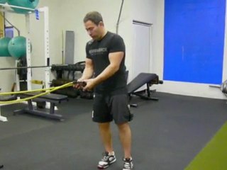 Pallof Press 2.0 - New Abs/ Core Exercise