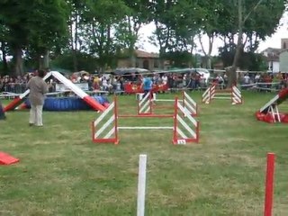 After Agility 2 Trophée par équipe 2011