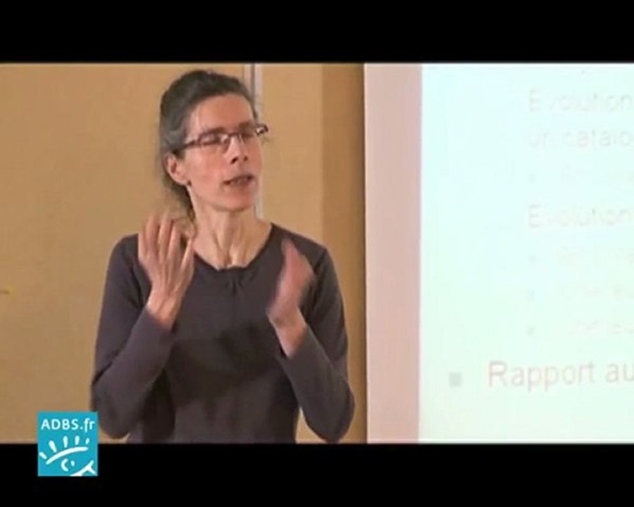 RDA : le nouveau paradigme du catalogage (4). Adopter RDA en France ?