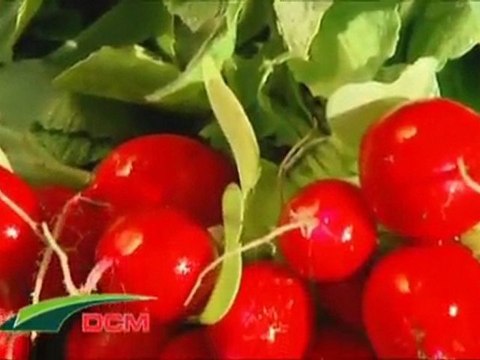 Een ideale winterverzorging voor uw tuin - DCM